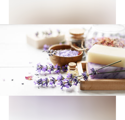 אפונת הפרפר