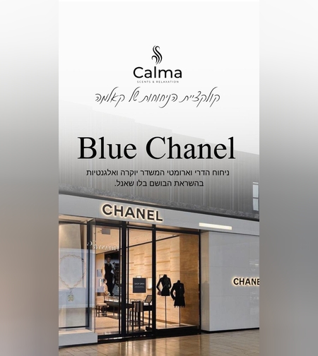 תמצית שמן בישום בלו שאנל 500 מ