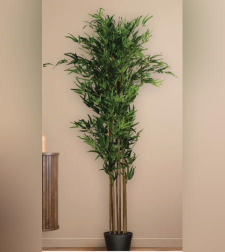 עץ BAMBOO GREEN 150 CM