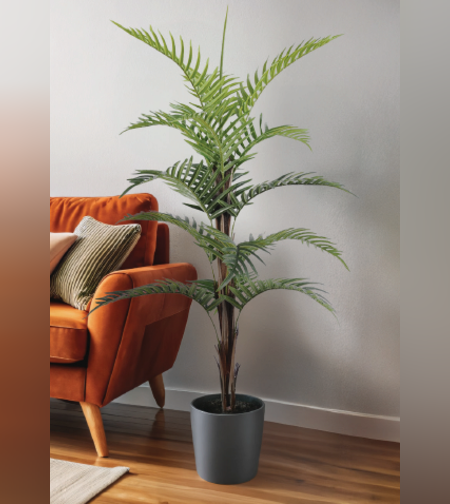 עץ  PALM 72/60/124 CM