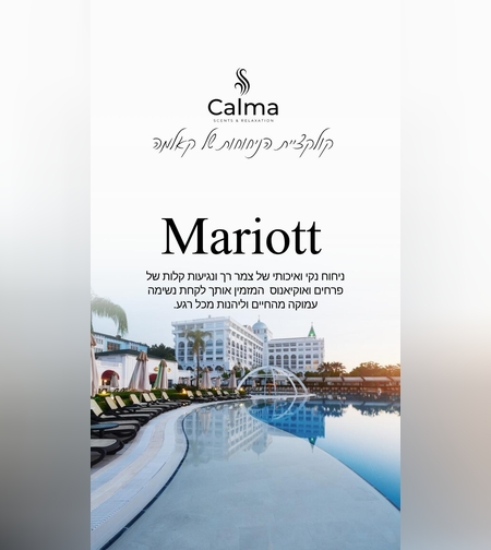 תמצית שמן בישום בלו מריוט 500 מ