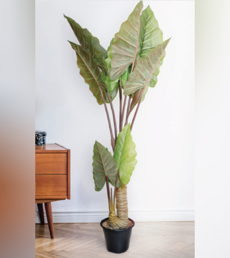 עץ TARO TREE 101/98/134 CM