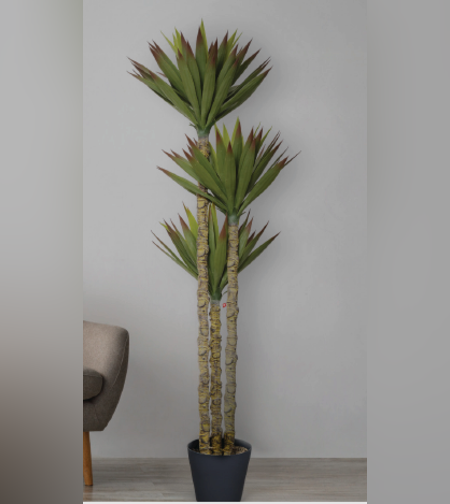 עץ AGAVE MULTI TREE 67/60/148 CM