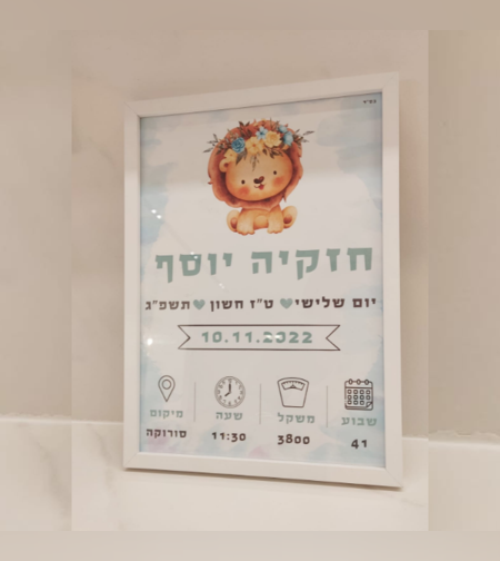 תעודת לידה- דגם 