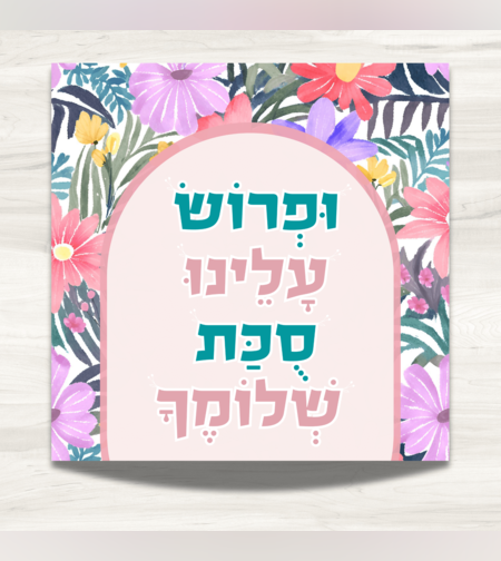 שמשונית- דגם 