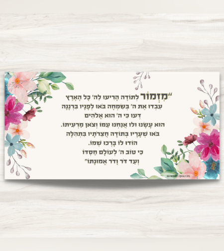 שמשונית- דגם 