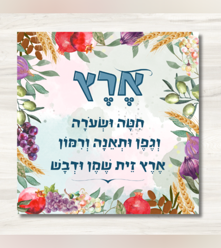 שמשונית- דגם 