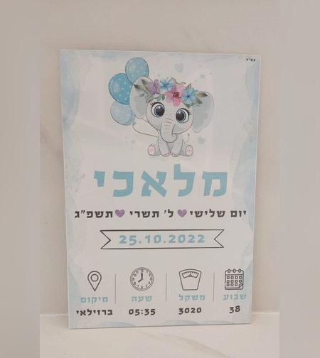 תעודת לידה- דגם 