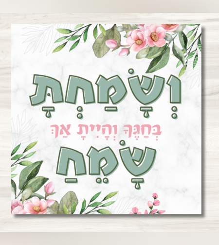 שמשונית- דגם 