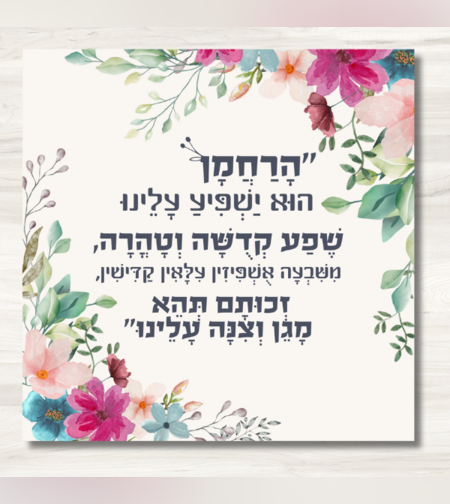 שמשונית-דגם 
