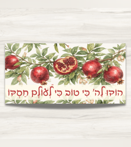 שמשונית- דגם 