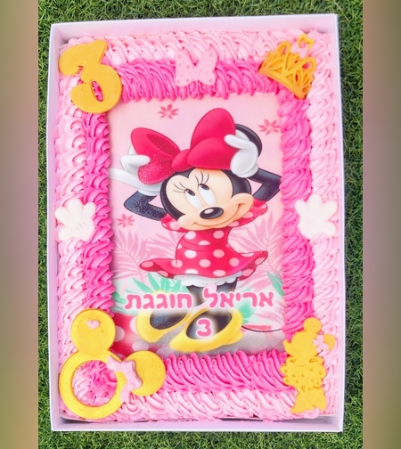 עוגת קופסה מיני מאוס