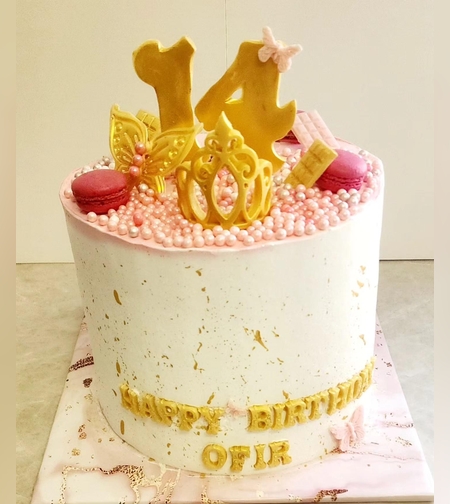 עוגה מעוצבת אופיר (L)