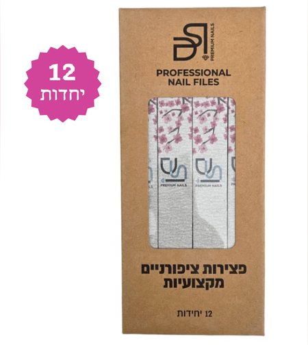 פצירה מקצועית ישרה רב־פעמית דו־צדדית 100/180- 12 יחידות