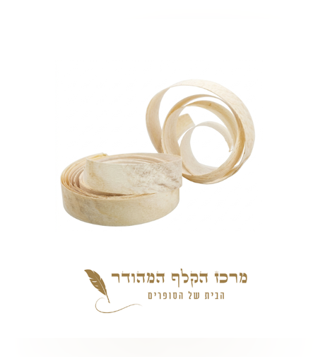 Premium Tefillin parchment head