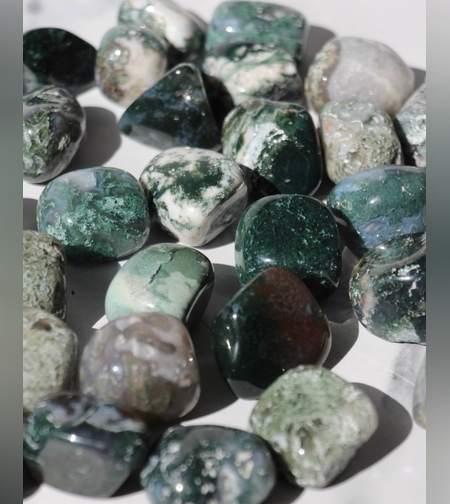 אגת מוס חלוקים