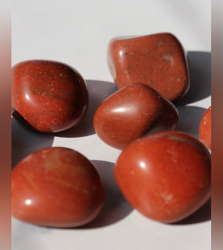 ג'ספר אדומה חלוקים