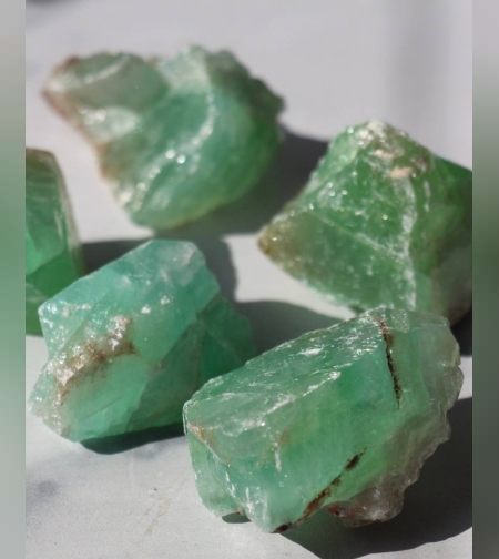 כלצית ירוקה גלם