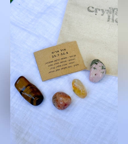 ערכת מזל אריה