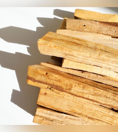 פאלו סנטו | העץ הקדוש