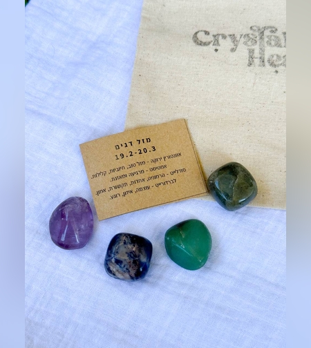 ערכת מזל דגים