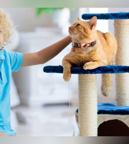 רצועת צווארון אלקטרונית לאיתור ושמירה לחיות מחמד