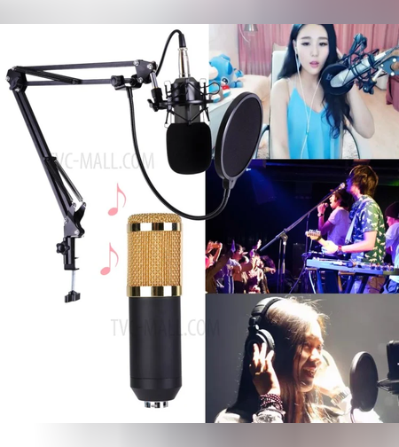 ציוד מקצועי לאולפן הקלטות  יישום: שירה , צ'אט , הקלטת קול