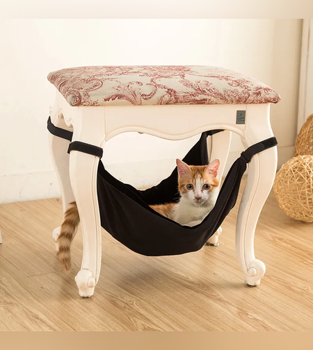 ערסל תלייה לחתול