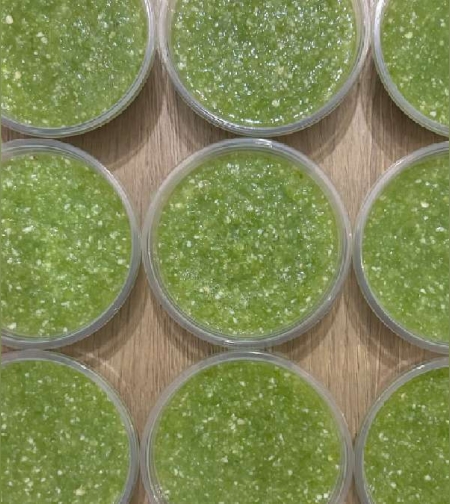 Tatbile (Green chili and garlic paste)