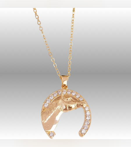 שרשרת פרסה& סוס מזורקן