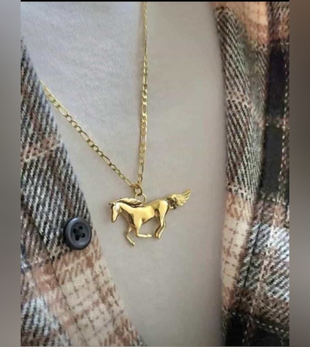 שרשרת גורמט לגבר סוס