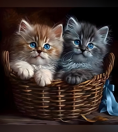 חתולים בסלסלה