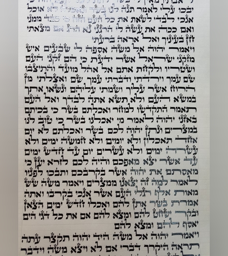 ספר תורה מהודר גודל 56