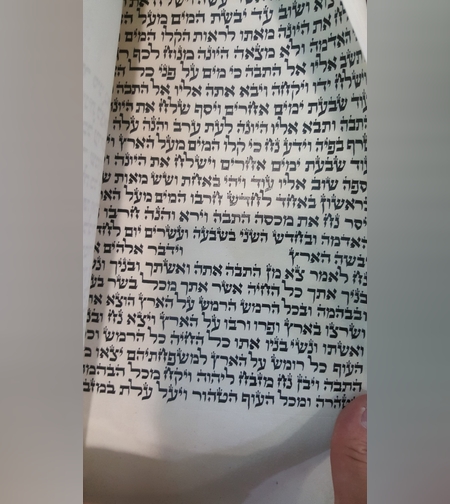 ספר תורה ספרדי מהודר גודל 56