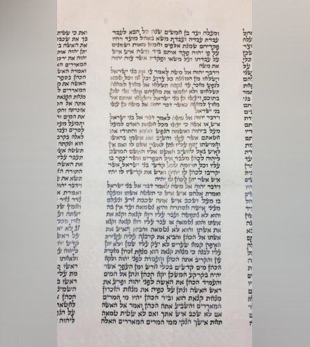 ספר תורה ספרדי גודל 56 ס'מ יפיפה