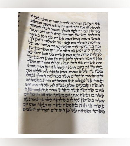 מגילת אסתר 'המלך' 21 שורות 28 ס'מ דגם עטרת