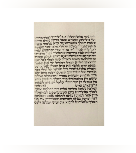 מגילת אסתר 'המלך'  21 שורות 19 ס'מ