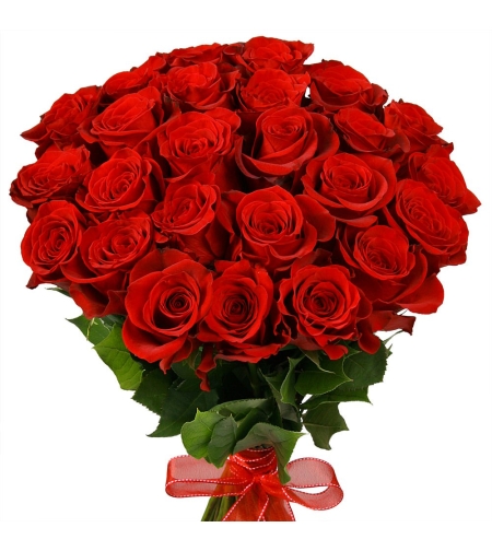 Bouquet of 25 red roses 'Elite' # 28