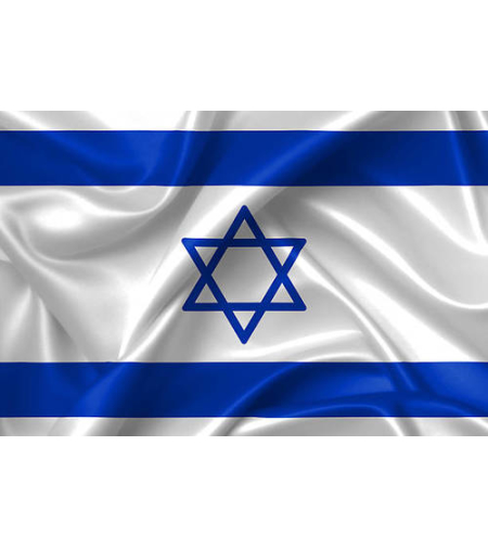 דגל ישראל 300X100