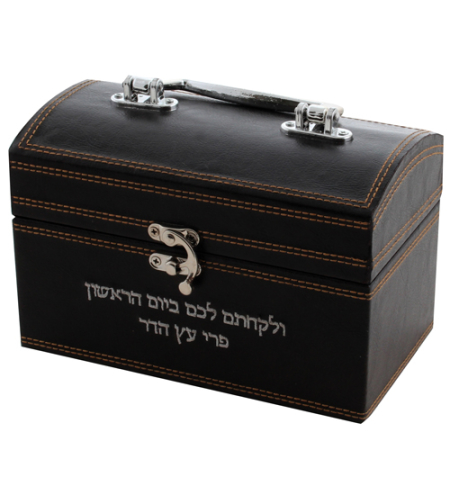 Fancy leather-like etrog box with plaque, handle and metal lock - dark brown