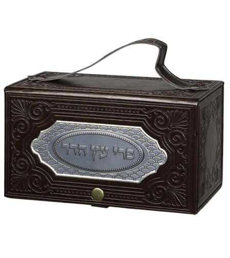 Elegant Peio etrog box with 11X19X11 cm plaque