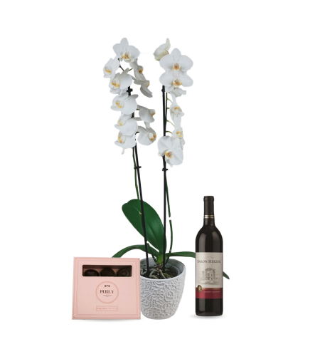 Gift box with orchid, wine and Perly chocolate