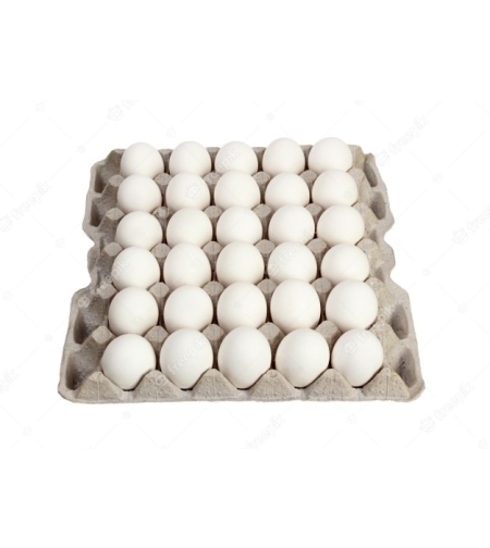 תבנית ביצים M