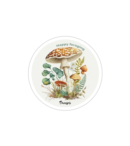 FungiPeel Vinyl Stickers | Mushroom Decals | FungiFly