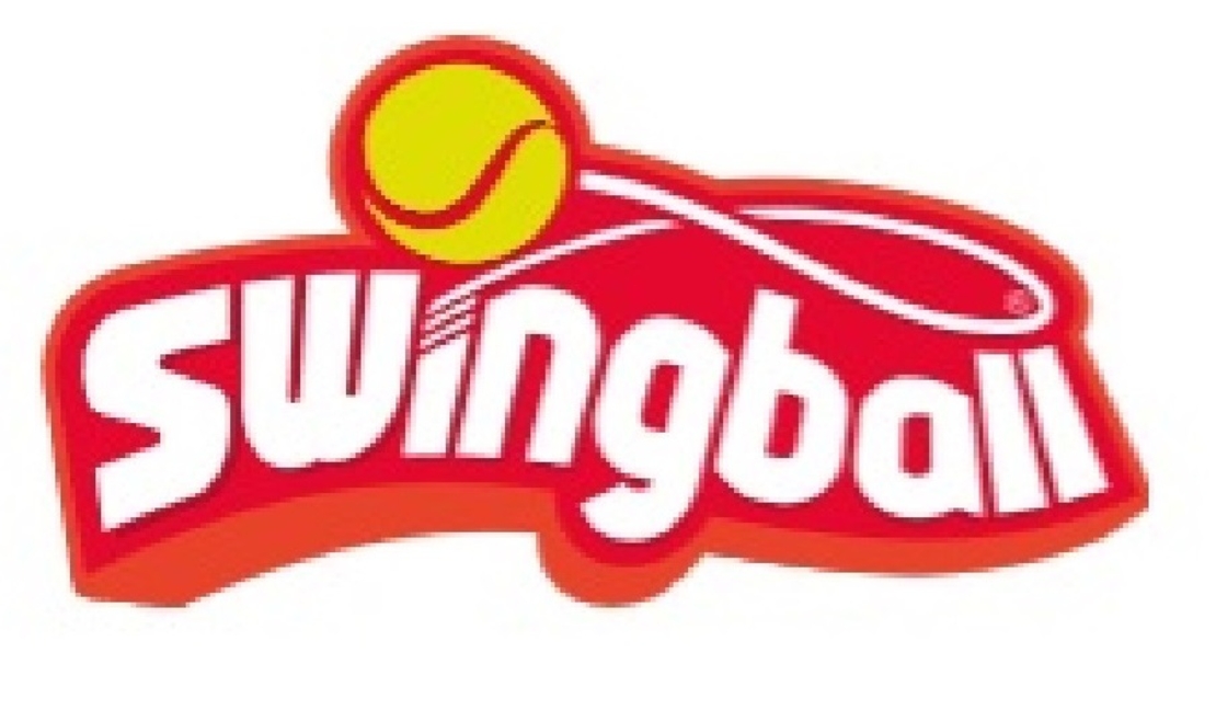 סווינגבול רגיל Swingball Regular