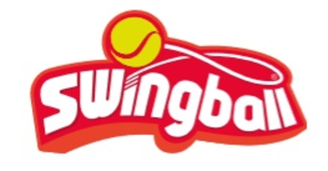 Swingball All Surface Junior Set
