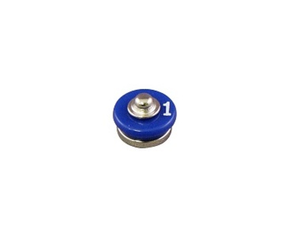 סנאפ סירקיטס SC01
