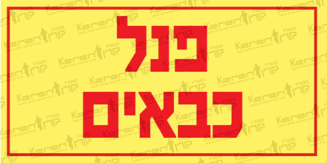 פנל כבאים