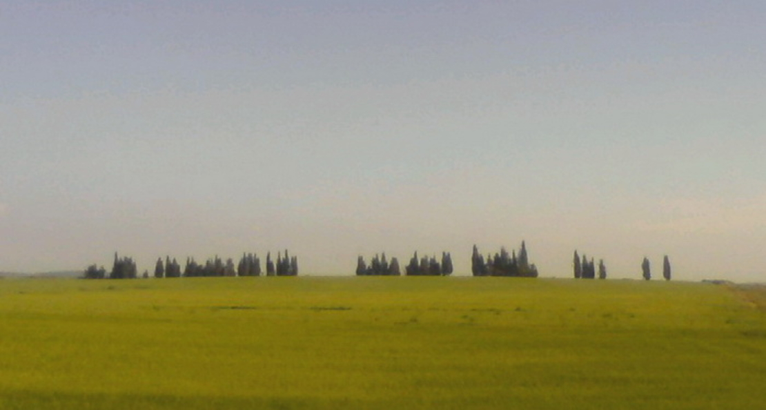 נוף, ארץ | LANDscape