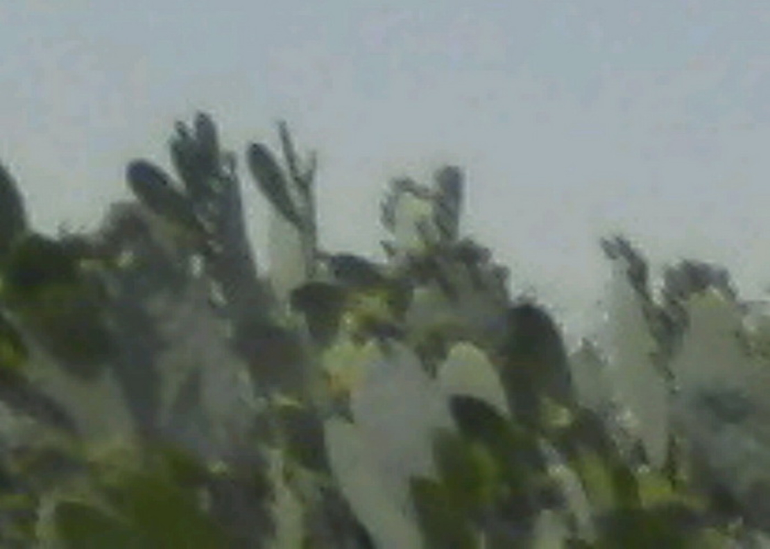 נוף, ארץ | LANDscape